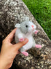 Hamster Knitting Pattern