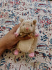 Hamster Knitting Pattern